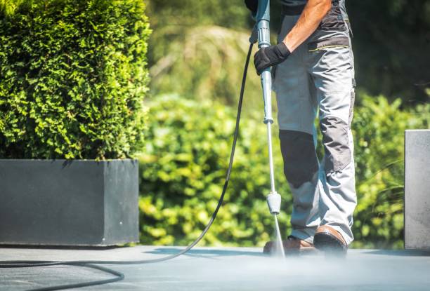 Best Dumpster Area Cleaning  in Maple Lake, MN
