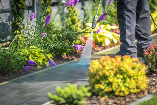 Best Boat and Dock Cleaning  in Maple Lake, MN