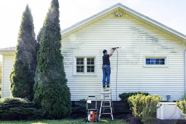 Maple Lake, MN Pressure Washing Services Company